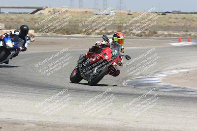 media/Aug-03-2024-TrackDaz (Sat) [[30bed884ff]]/C Group/1240pm (Grapevine)/